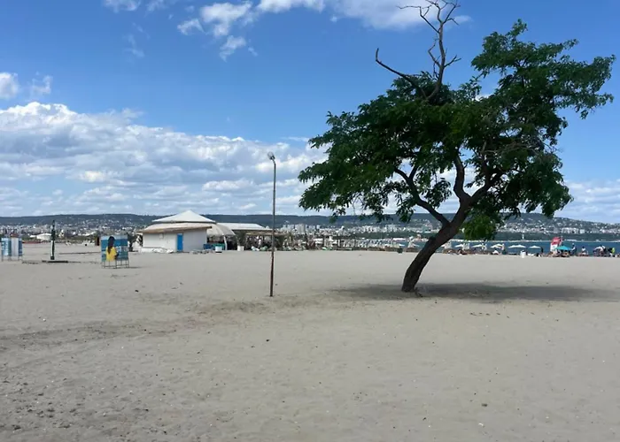 Elizi Summer House In South Bay Appartement *