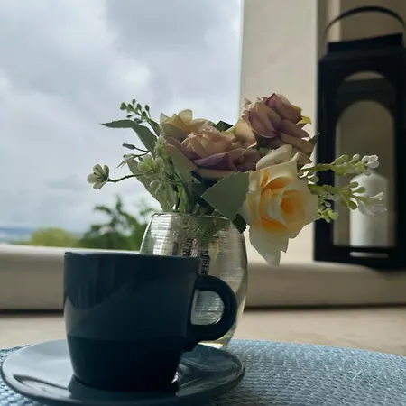 Elizi Summer House In South Bay Апартаменты Варна