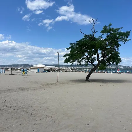 Elizi Summer House In South Bay Apartment *